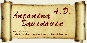 Antonina Davidović vizit kartica